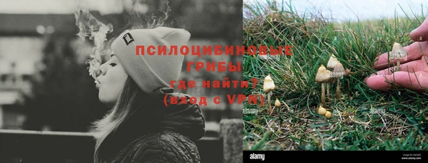 Альфа ПВП Костерёво