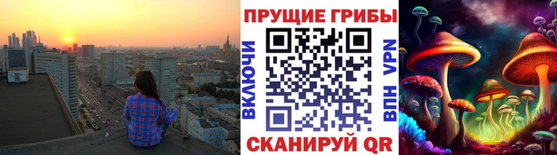 где можно купить   сайты даркнета какой сайт  Псилоцибиновые грибы Cubensis  Железногорск-Илимский 
